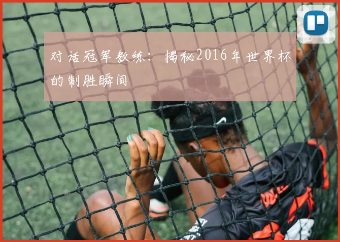 对话冠军教练:揭秘2016年世界杯的制胜瞬间