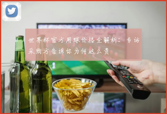 世界杯官方用球价格全解析:专访采购方告诉你为何这么贵